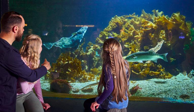 Top 5 Child Friendly Ideas in Bergen